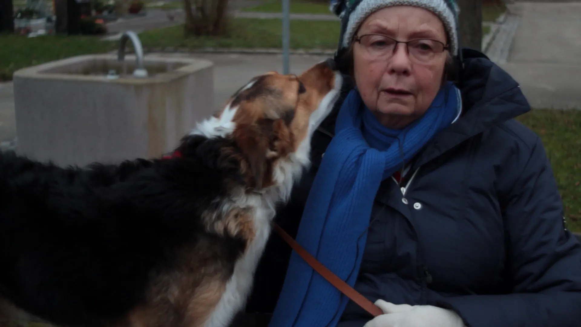 The dog licks Mrs Hanning's tears away - As always.