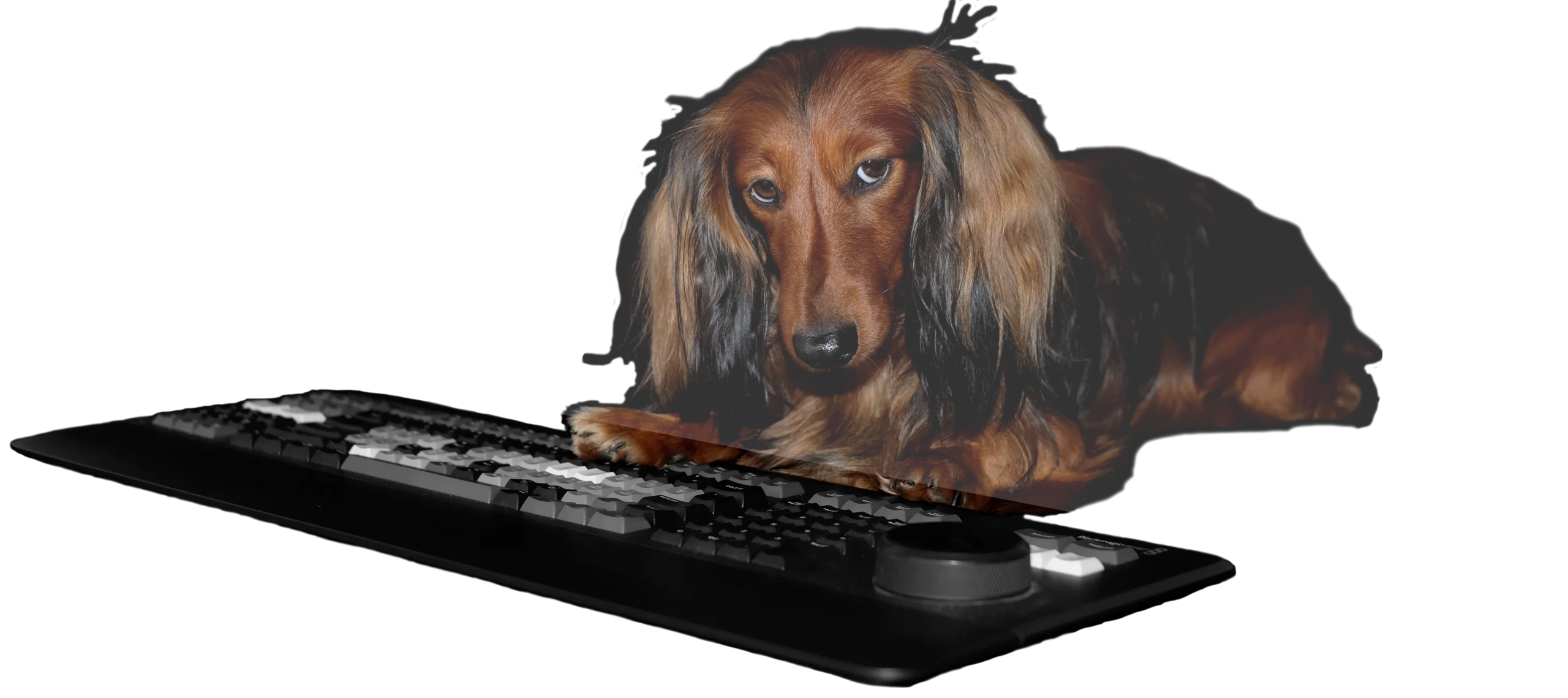 Photo of Juri by Lena Fischer