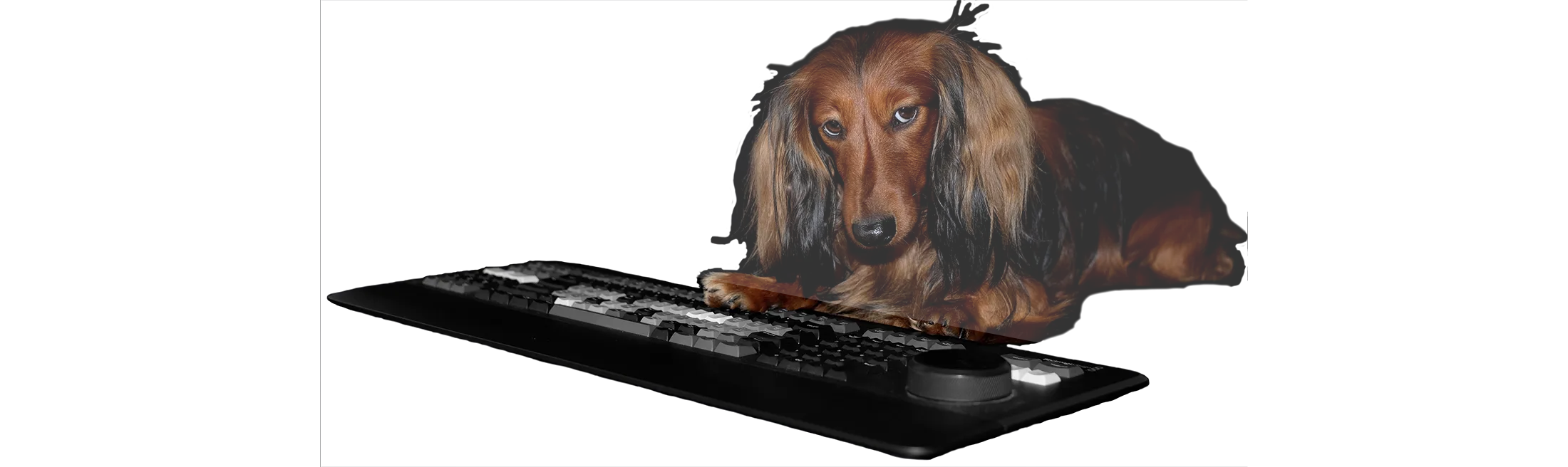 Freelance film editor Berlin